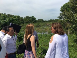 10406440_922063171213658_7287885470931939985_n