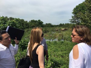 12065708_922062851213690_3785250739108111312_n