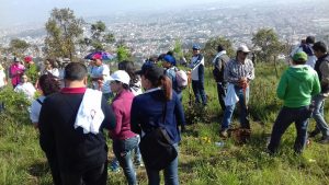 04413f13-2536-40dc-8eb4-6fc1662ba883