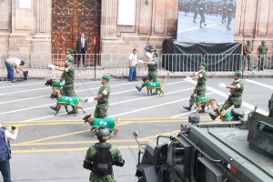 IMG_4831