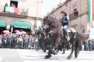 IMG_4894